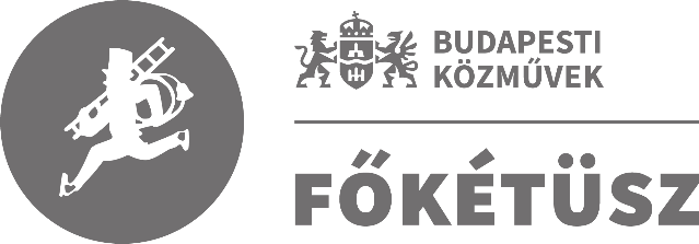 FŐKÉTÜSZ logója