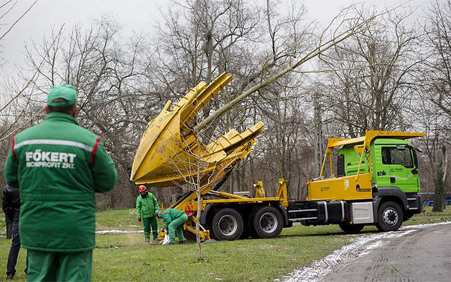 Munkában a FŐKERT idősfa-átültető gépe