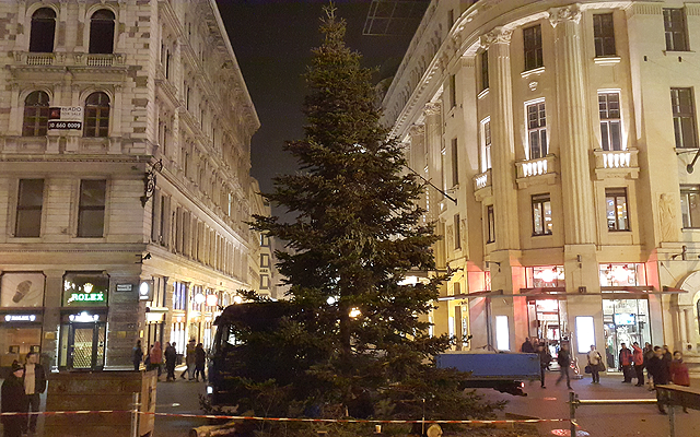 A vásár területére a fenyőfa már megérkezett, a színpad és az adventi ínyencségek standjainak alapja is áll, a fákra felkerültek az ünnepi lampionok