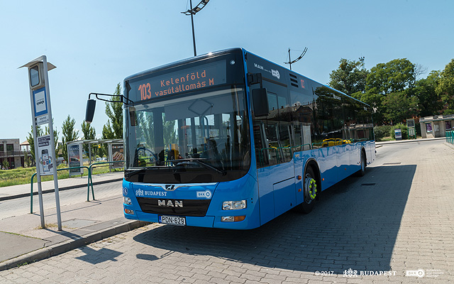 Új szóló MAN Lion’s City A21 típusú autóbusz a 103-as vonalán
