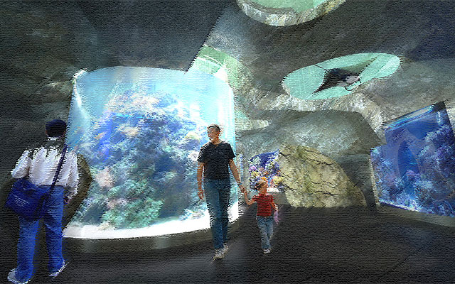 A Pannon Park biodómjának része lesz Közép-Európa legnagyobb akváriuma