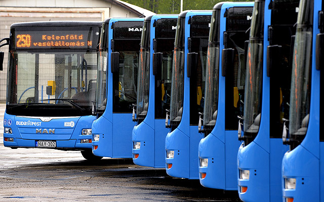 Új MAN Lion's City A21 típusú szóló autóbuszok a VT-Arriva Kft. Andor utcai telephelyén Budapesten